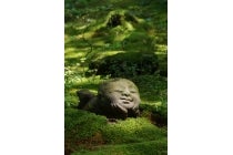 【梅坪・豊田発】*日帰り昼食付*『如月、弥生の京都大原から北野天満宮へ「ふわふわお土産付き♪」』3